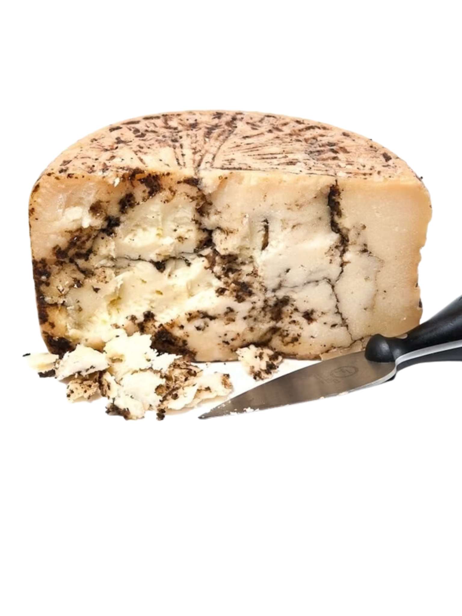 MOLITERNO ENTIER A LA TRUFFE D'ETE (5%)